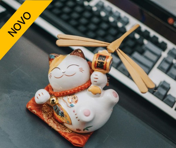 CURSO DE FENG SHUI : VIVER EM HARMONIA
