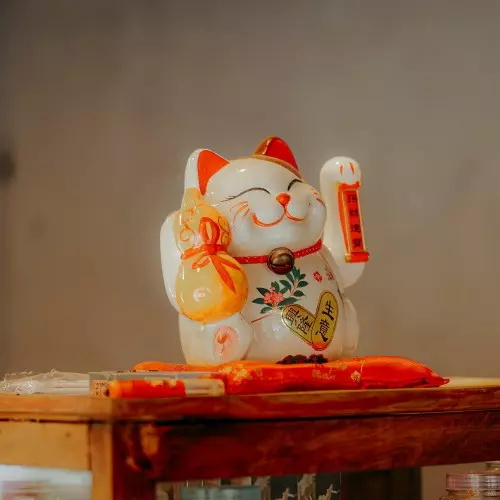 CURSO DE FENG SHUI : VIVER EM HARMONIA